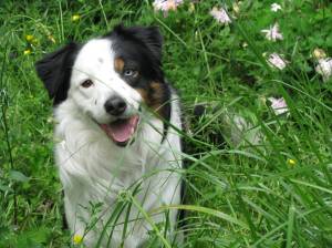 "The Pie" looking gorgeous!