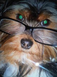 Can you please send in some silly photo's for the blog?