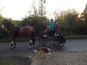 Red, my nephew Mac and Doyle (son of my Teddy!)